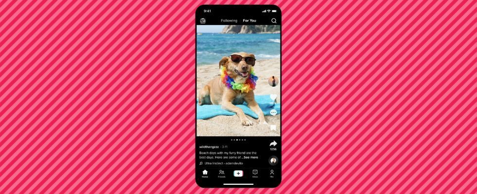 TikTok launcht Photo Mode à la Instagram und neue Editing Tools für Sounds, Clips und Text
