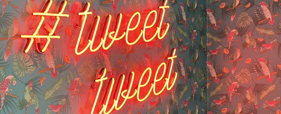 Twitter teilt jetzt Ad-Einnahmen mit verifizierten Creatorn – und bezahlt auch kontroverse User