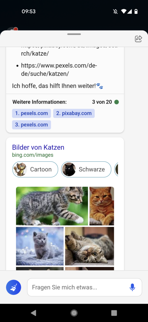 Bilder von Katzen und Links zu Seiten mit Katzenbildern im Bing Chat, eigener Screenshot aus der Bing App