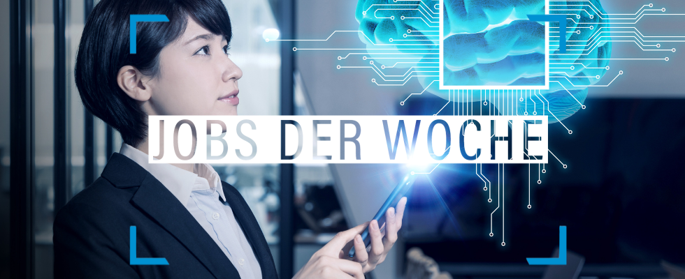 Mit AI statt Flunkerei zum Traumjob