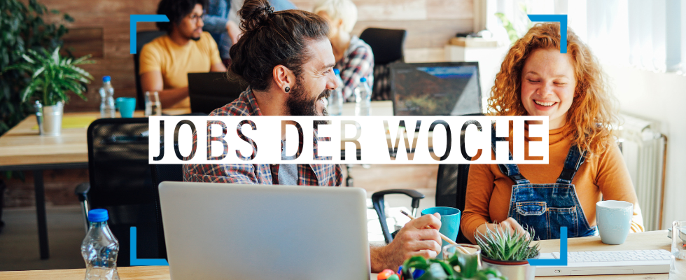 Traumjob-Mix: Top Skills, Home Office und positive Atmosphäre