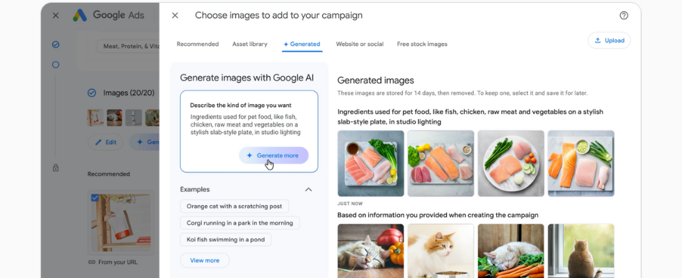 © Google, Übersicht für Google AI Features im Kampagnen-Editor, Bilder von Gemüse, Lachs auf Platten, einer Katze vor dem Fenster, Buttons und Reiter im Overlay-Fenster