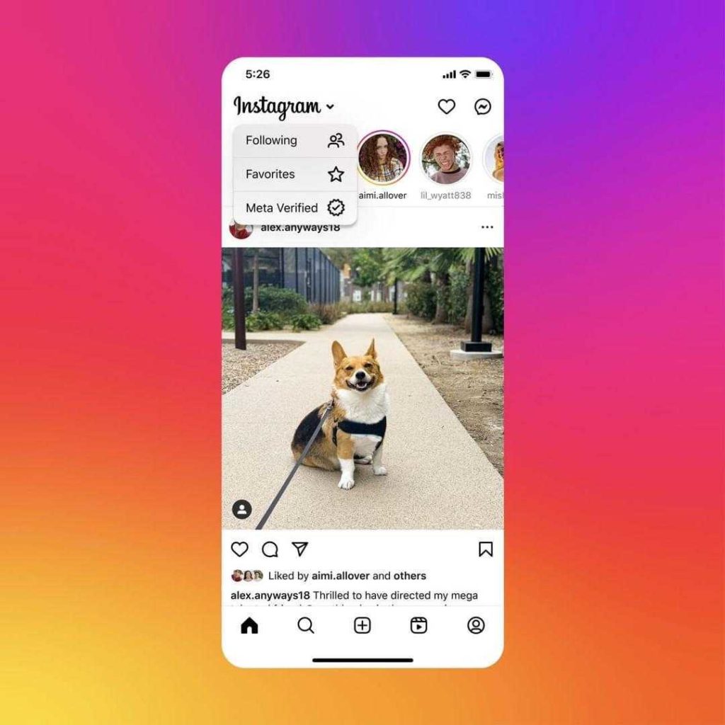 Die Meta Verified-Feed-Option ist für erste User verfügbar, © Adam Mosseri, Instagram, Smartphone Mockup mit Hund auf Bild, Regler für Feed-Optionen, Farbverlauf im Hintergrund