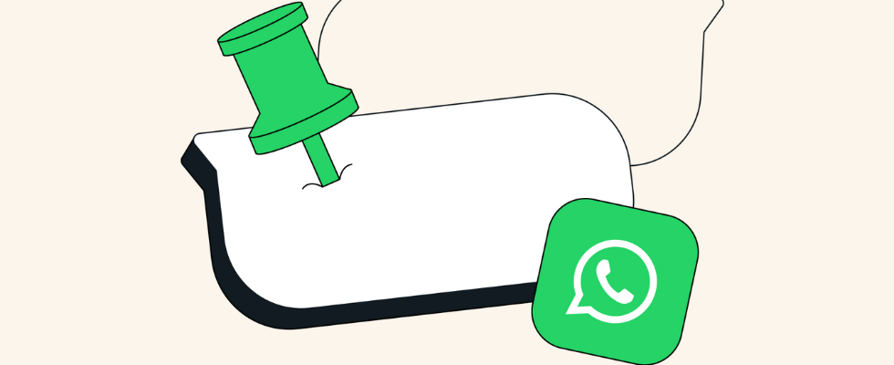 beigefarbener Hintergrund, WhatsApp-Logo, grüne Reiißzwecke in Nachrichten-Icon, © WhatsApp