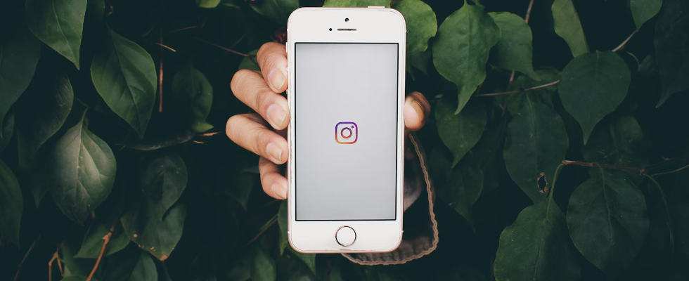 Like Tracking im Karussell: Instagram gibt Einblick in die beliebtesten Bilder