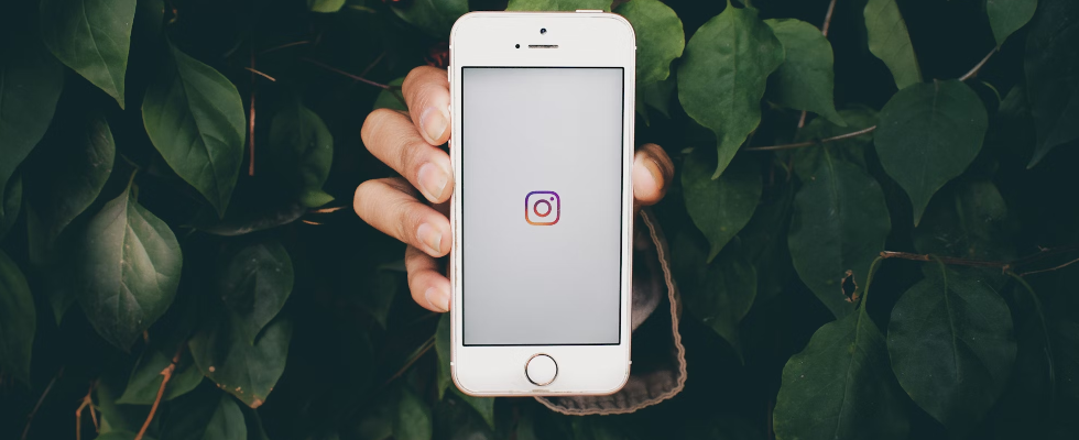 Wegen Reels: Instagram testet Vertical Grid fürs Profil