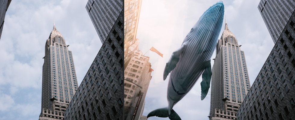 Cityscape with high-rise buildings, left with sky in between, right with flying whale in between, separated in the middle