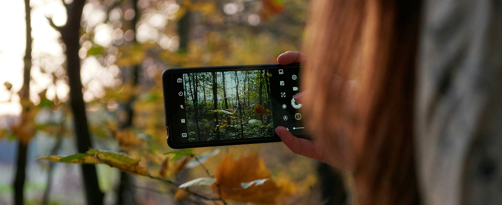 Handy im Wald macht ein Foto.