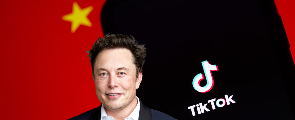 Geht TikTok jetzt an Elon Musk? Zwischen „reiner Fiktion“ und X-Kontrolle über Entertainment App