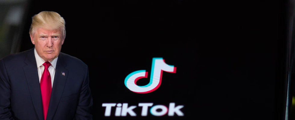 Kaufen die USA selbst bald TikTok?