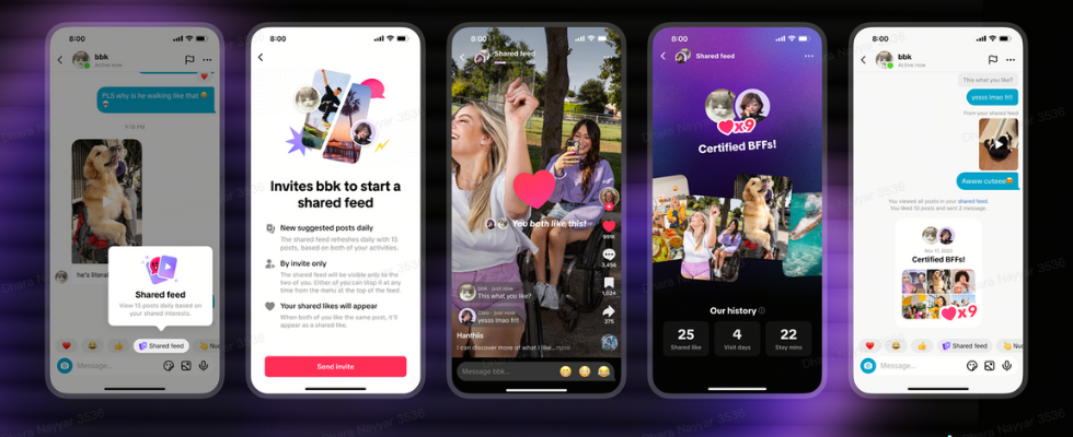 TikTok startet Shared Collections und Shared Feed TikTok startet Shared Collections und Shared Feed