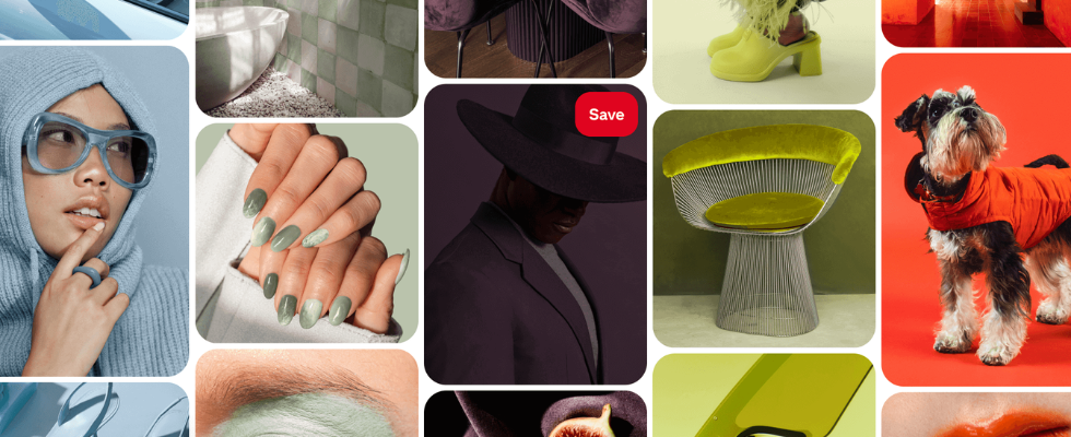 Wasabi bis Pflaume: Das sind die Trendfarben 2026