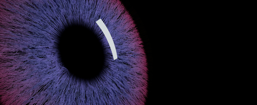 Only Human: OpenAI plant Social Network mit kontroverser Identitätsprüfung