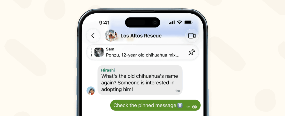 Signal führt fixierte Nachrichten ein