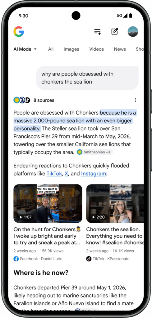 Ein Karussell mit Social-Media-Quellen im AI Mode, © Google