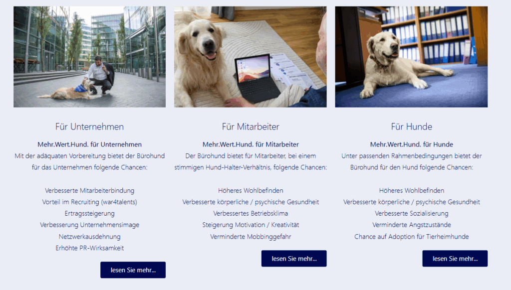 Bürohunde sind für viele Bewerbende ein Anreiz für Unternehmen, © Bundesverband Bürohund e.V., Screenshot