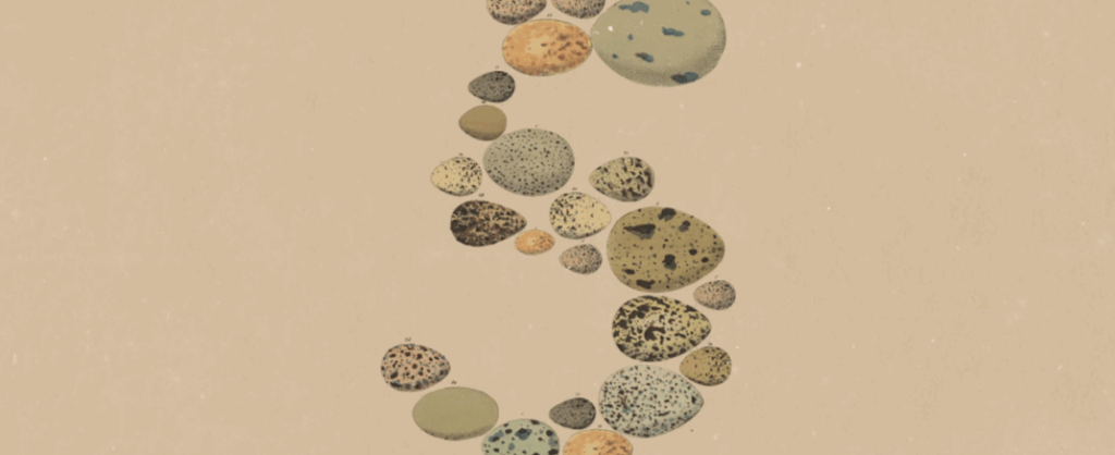 © Anthropic via Canva
