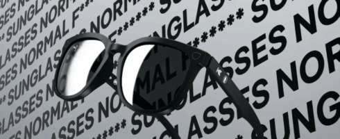 Geschäft mit der KI-Skepsis: DuckDuckGos Normal F***ing Sunglasses schon ausverkauft