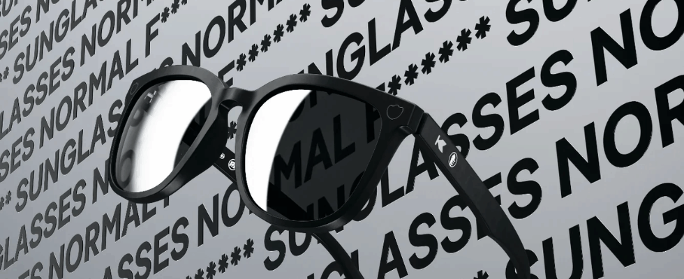 Geschäft mit der KI-Skepsis: DuckDuckGos Normal F***ing Sunglasses schon ausverkauft