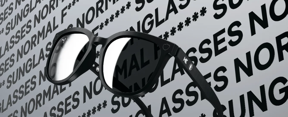 Geschäft mit der KI-Skepsis: DuckDuckGos Normal F***ing Sunglasses schon ausverkauft