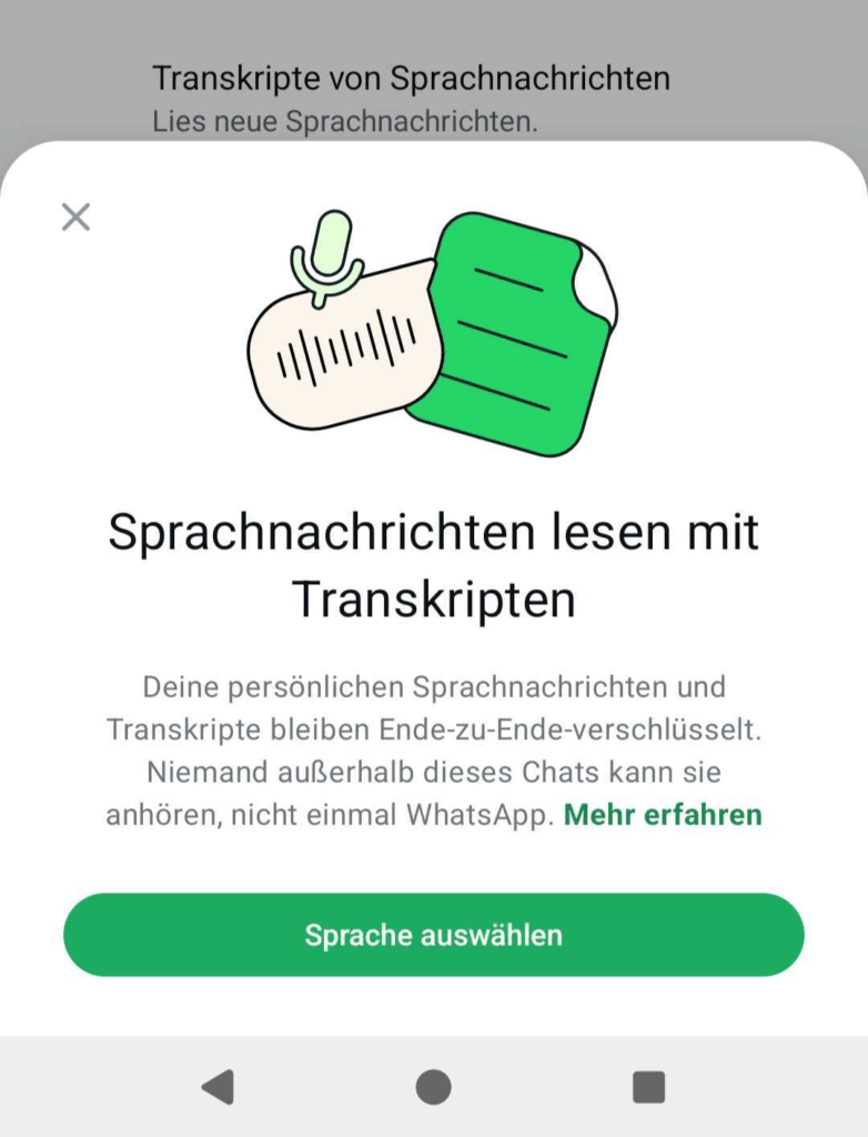 Die Einstellungen führen dich zu den Sprachtranskripten; noch aber ohne Deutsch als Auswahl, eigener Screenshot, WhatsApp
