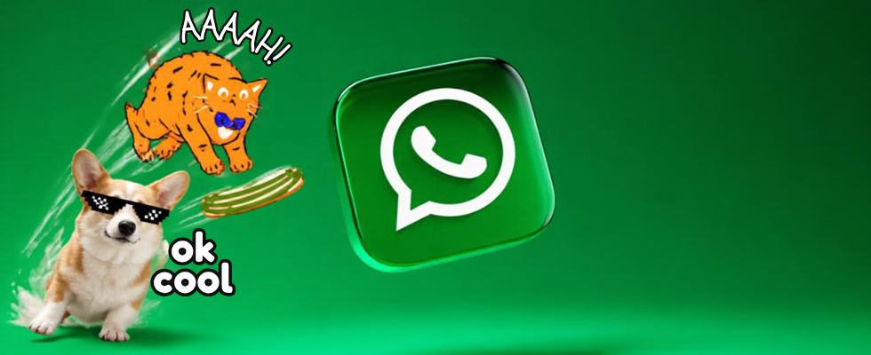 WhatsApp testet Sound Sticker: User erkennen sie am Lautsprechersymbol