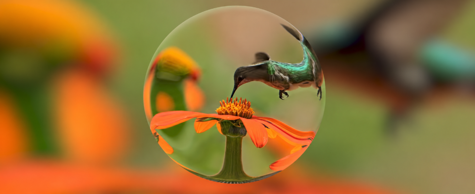 KI-generierte 3D-Welt mit Kolibri und Blüte als Beispiel für Googles KI-Weltmodell Genie 4.